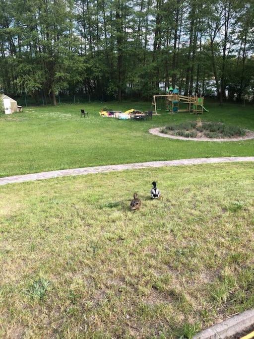 Penthouse Bernd Im Waldschloesschen Direkt Am See Wendisch Rietz Esterno foto