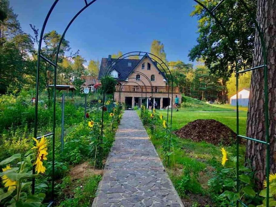 Penthouse Bernd Im Waldschloesschen Direkt Am See Wendisch Rietz Esterno foto