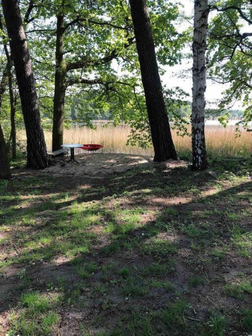 Penthouse Bernd Im Waldschloesschen Direkt Am See Wendisch Rietz Esterno foto